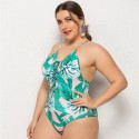 Open Back Plus Size One-Piece Swimsuit in Teal - LMT011-BL-O