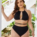 Sexy Bikini Plus Size Two-Piece Swimsuit in Black - LMT061-B-O