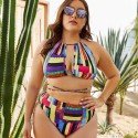 Sexy Bikini Plus Size Multicolored Two-Piece Swimsuit - LMT061-MC-O