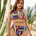 Sexy Bikini Plus Size Multicolored Two-Piece Swimsuit - LMT061-MC-O