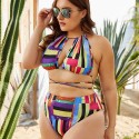Sexy Bikini Plus Size Multicolored Two-Piece Swimsuit - LMT061-MC-O