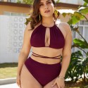 Sexy Bikini Plus Size Two-Piece Swimsuit in Dark-Red - LMT061-R-O