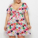 Summer Deep V Plus Size Dress with Red and Pink Flowers - LMT078-NO1-O