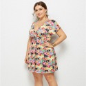 Summer Deep V Plus Size Dress with Camera Pattern - LMT078-NO8-O