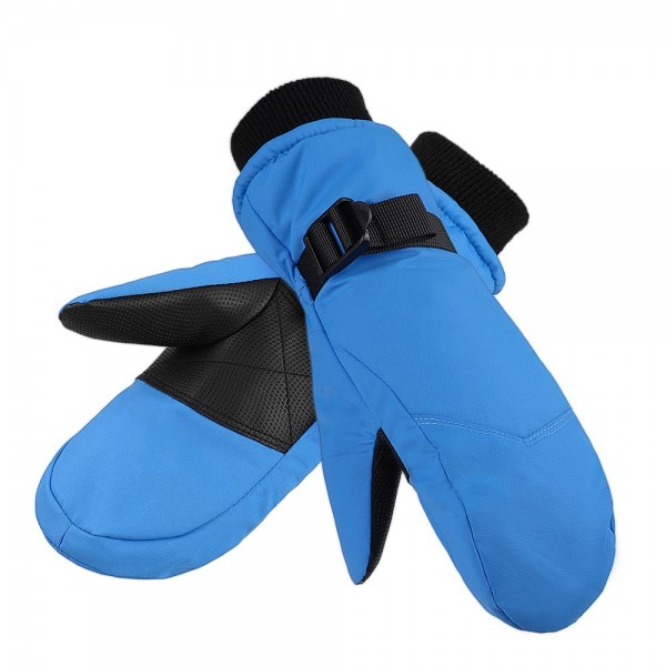 Windproof Thermal Ski Gloves in Blue