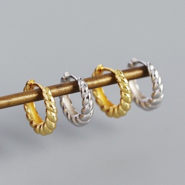 Metallic Style Twisted Hoop Earrings