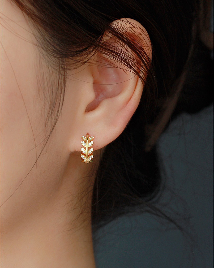 description picture for hoop earrings id MLYH052-1