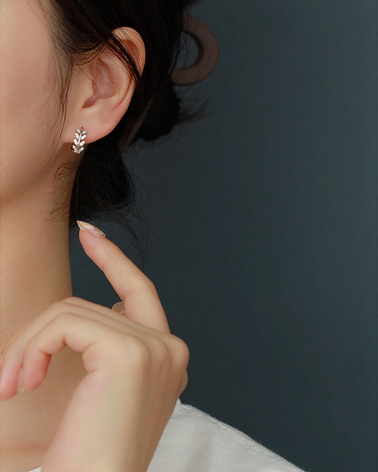 description picture for hoop earrings id MLYH052-2