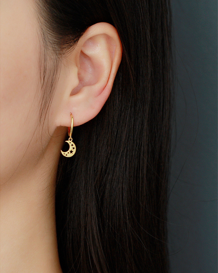 description picture for dangle earrings id MLYH100-2