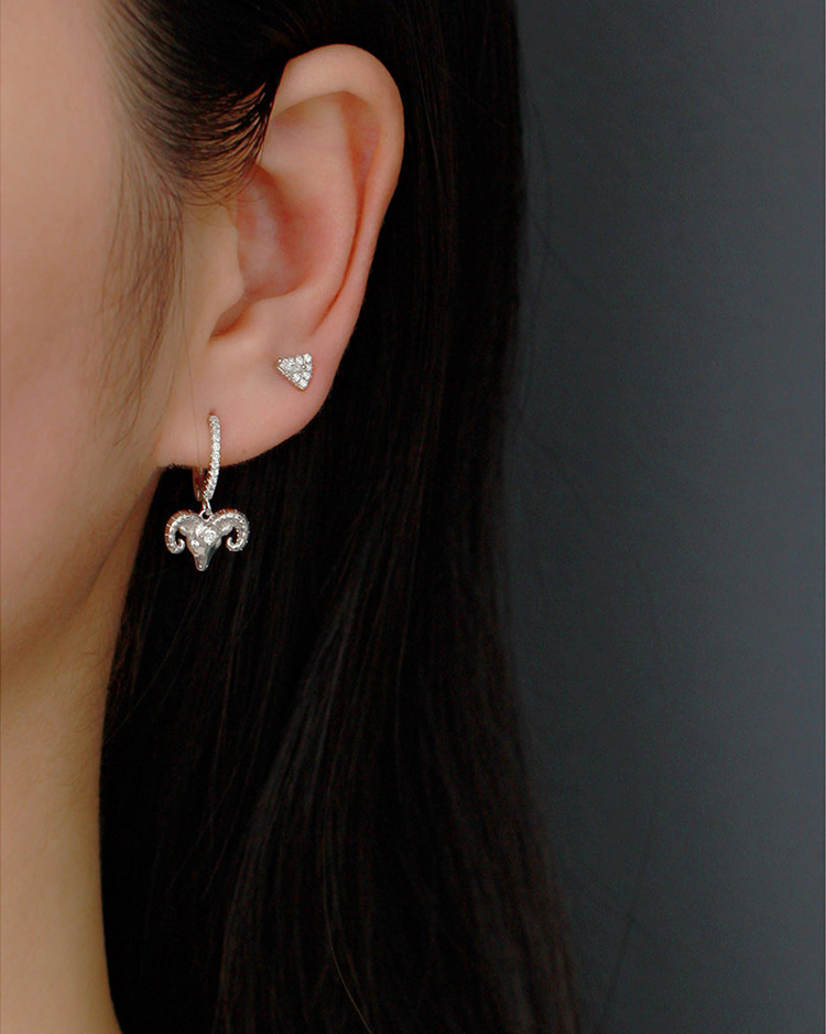 description picture for dangle earrings id MLYH143-2