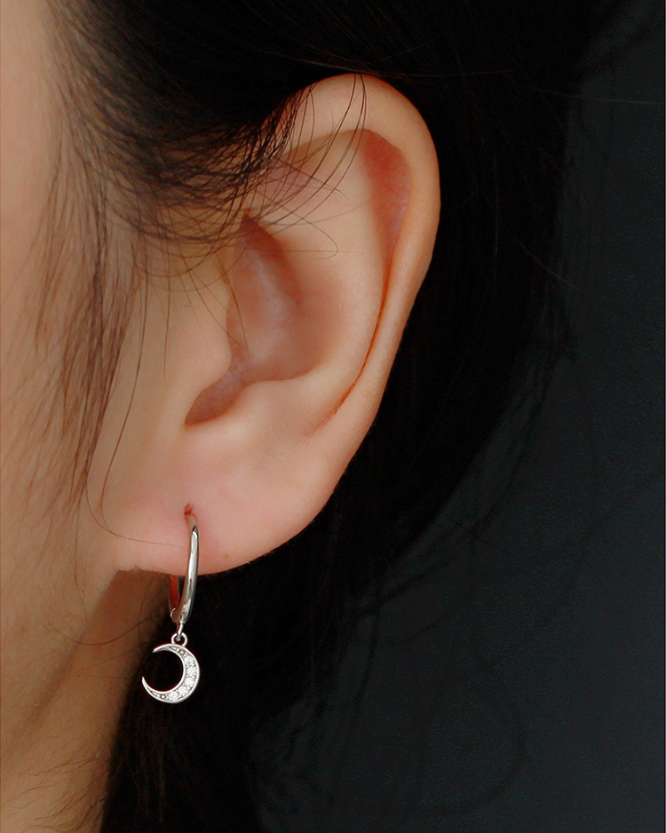 description picture for dangle earrings id MLYH264-1