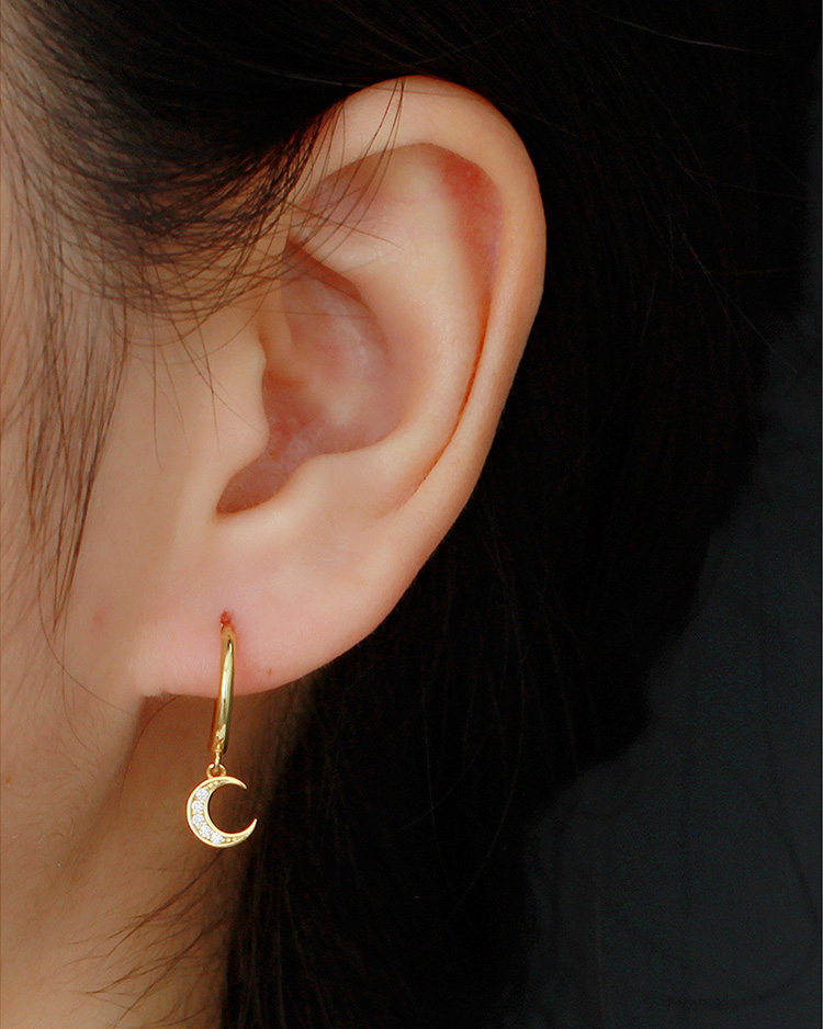 description picture for dangle earrings id MLYH264-2