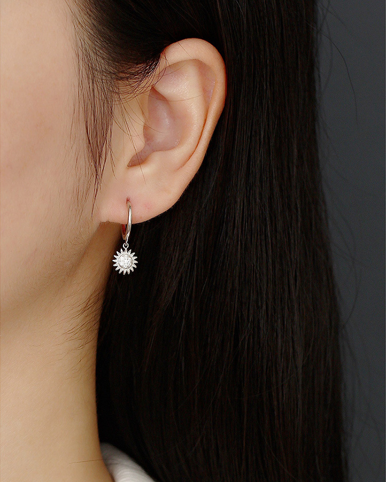 description picture for dangle earrings id MLYH271-3