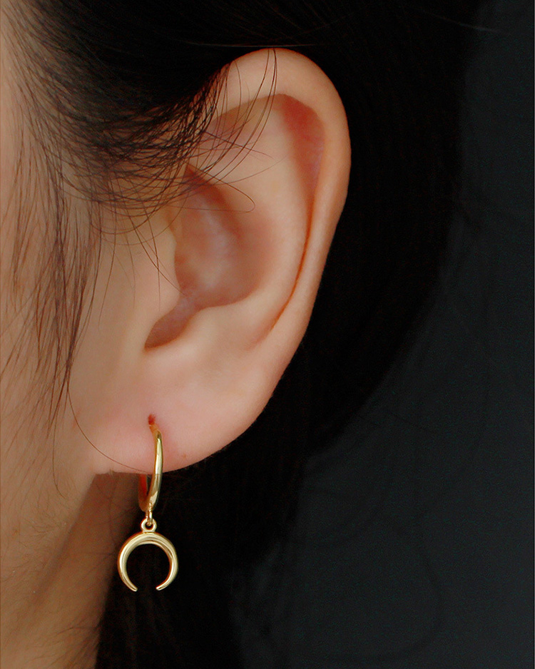 description picture for dangle earrings id MLYH306-1