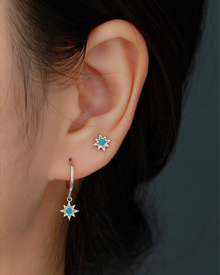 description picture for dangle earrings id MLYH307-2