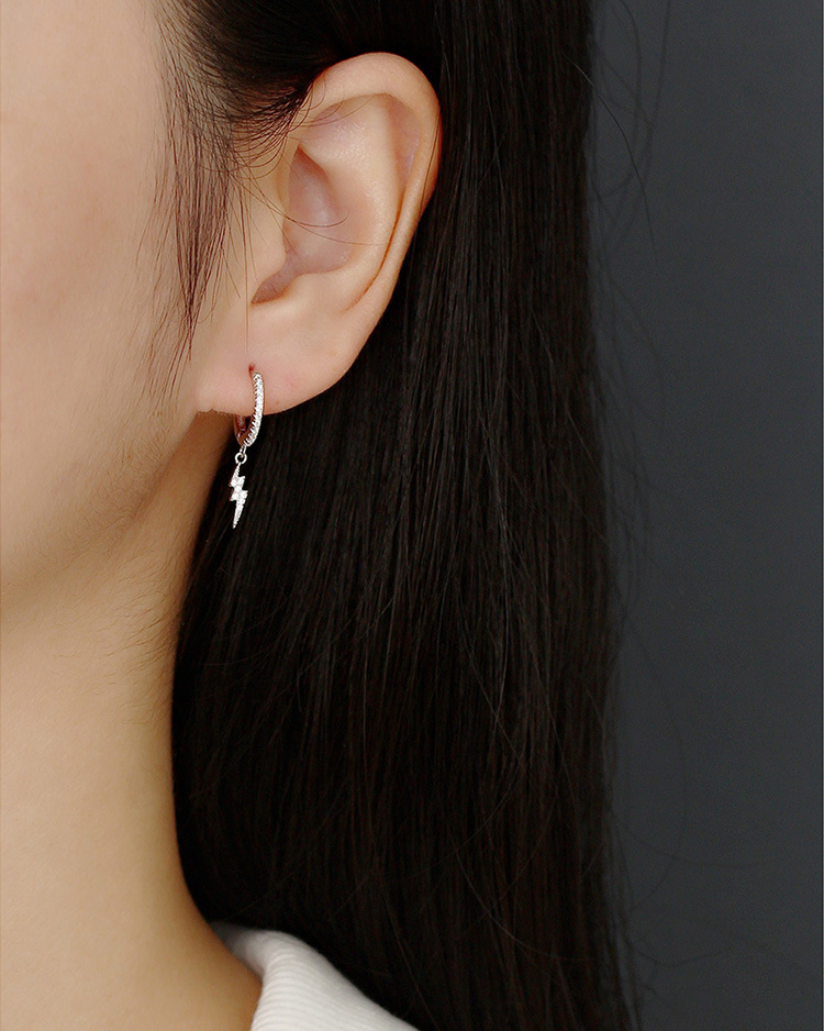 description picture for dangle earrings id MLYH434-2