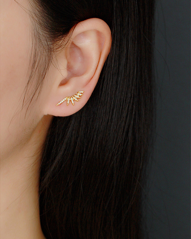 description picture for hoop earrings id MLYH442-3