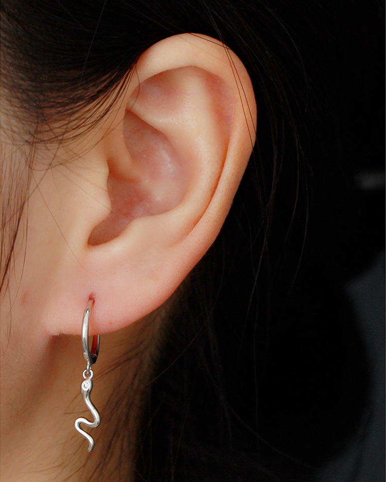 description picture for dangle earrings id MLYH509-2
