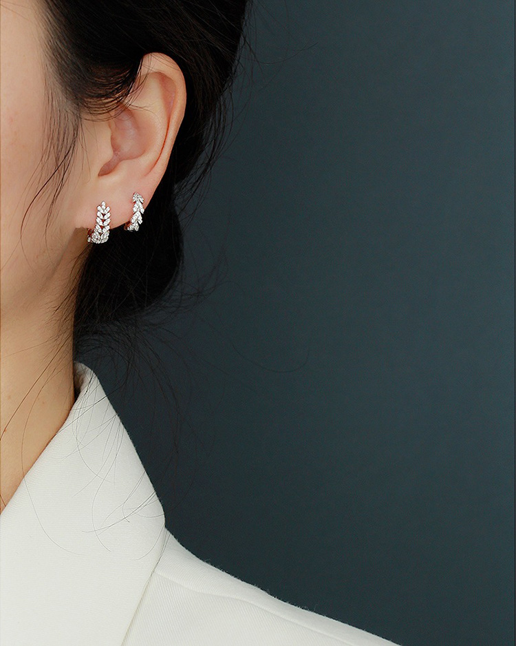 description picture for hoop earrings id MLYH545-2