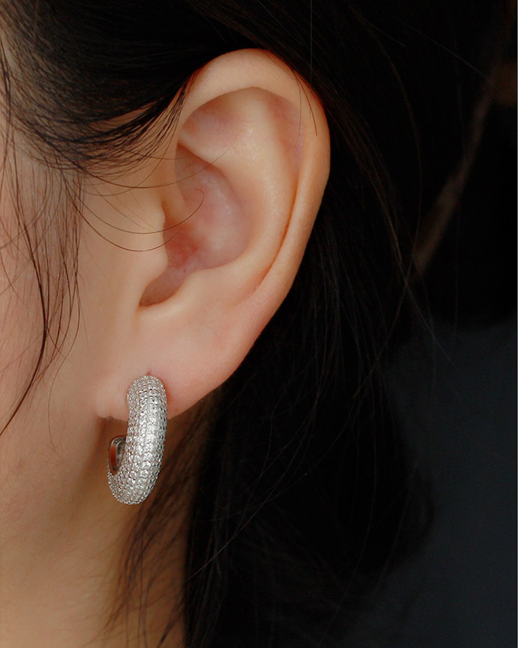 description picture for stud earrings id MLYH561-2