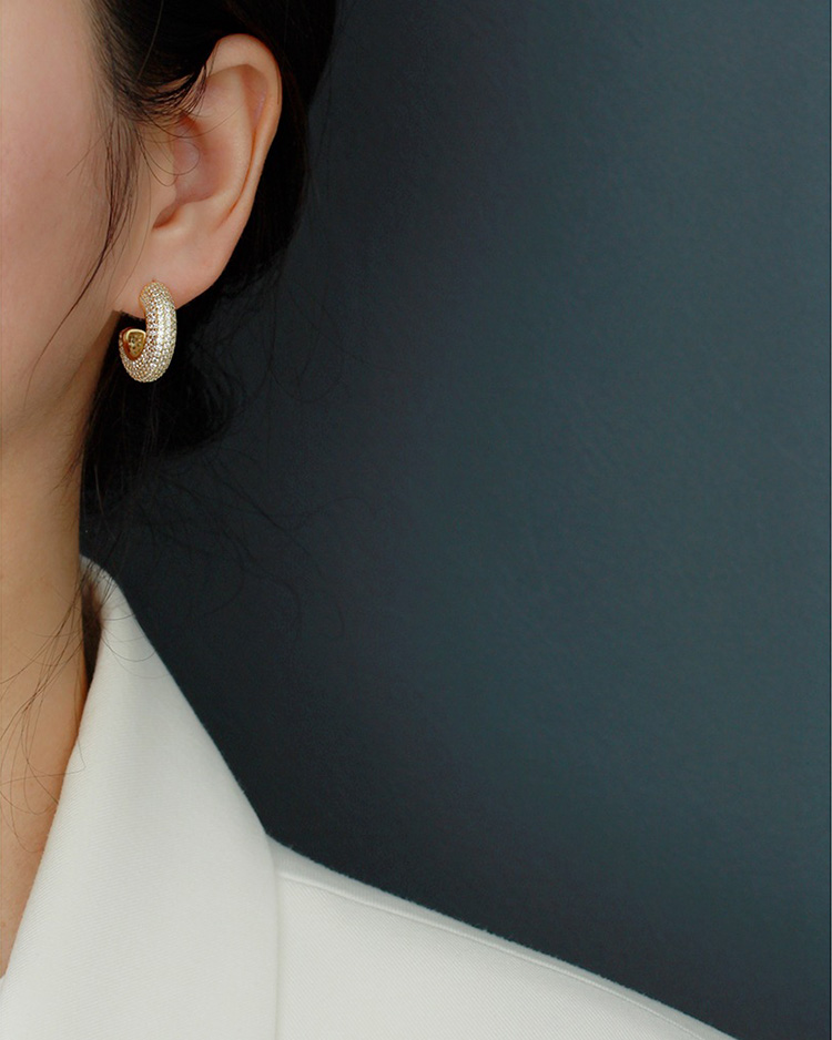 description picture for stud earrings id MLYH561-3